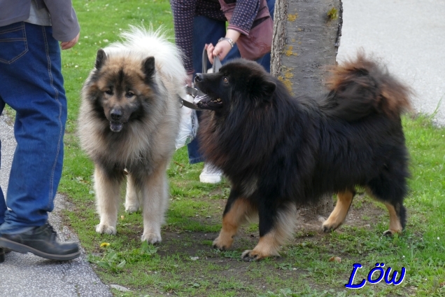 19.4.2025 - Weiter, weiter!!